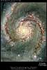 m51