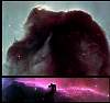 horsehead